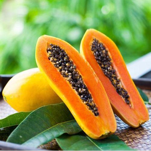 来月经可以吃籽瓜吗,月经期间适宜食用籽瓜的饮食建议