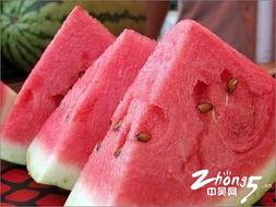 闲聊吃瓜,揭秘娱乐圈背后的那些事儿