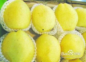 梨刺瓜孕妇可以吃吗,安全与营养两不误