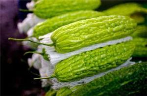 孕妇吃线瓜,瓜类佳肴——线瓜的营养与益处