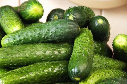 吃六瓜,探寻夏日消暑美食之旅