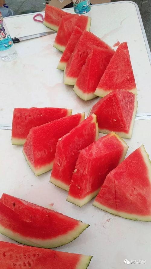 吃瓜赛,一场全民参与的趣味盛宴